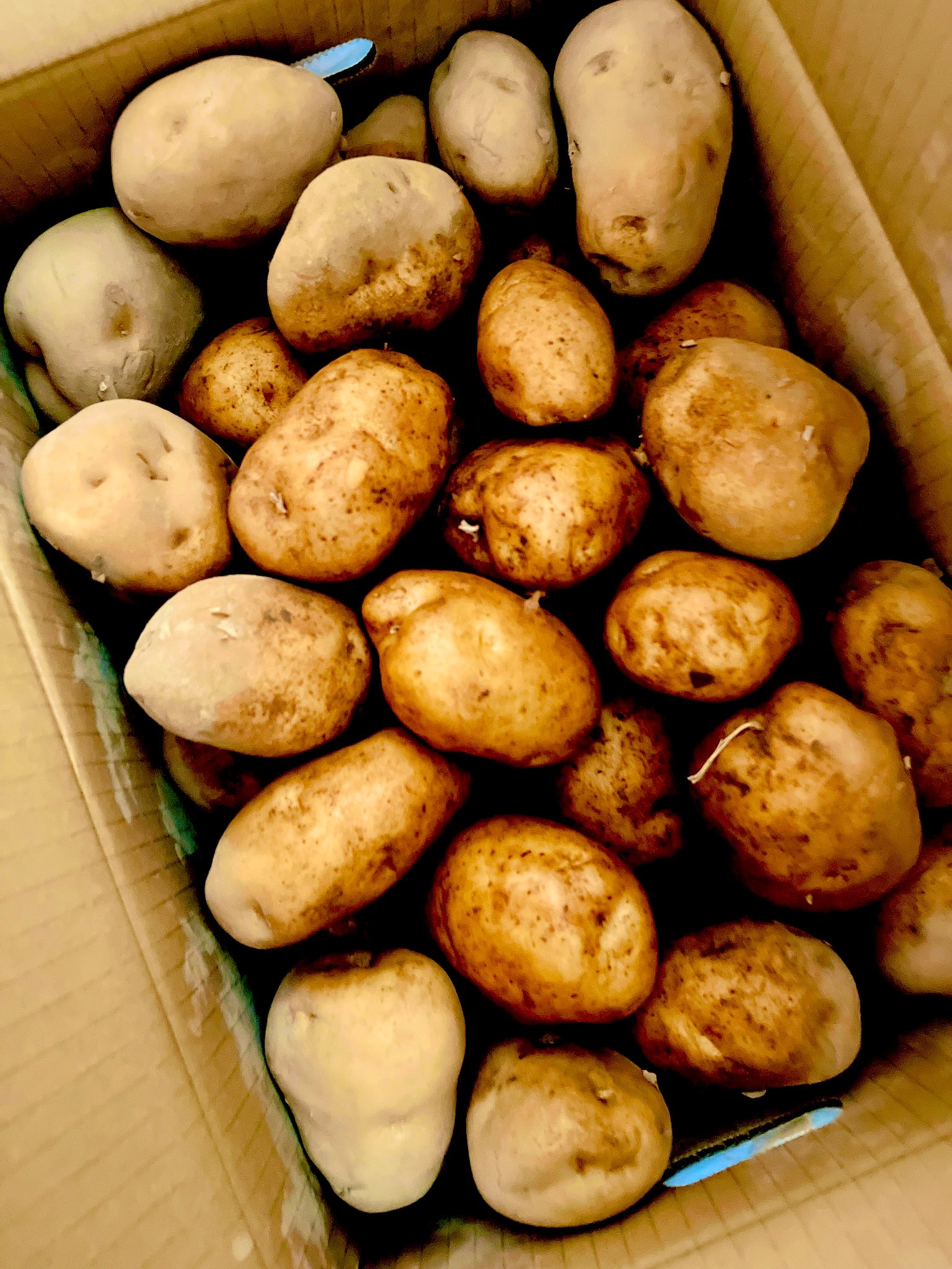 北海道産の男爵芋🥔📦page-visual 北海道産の男爵芋🥔📦ビジュアル