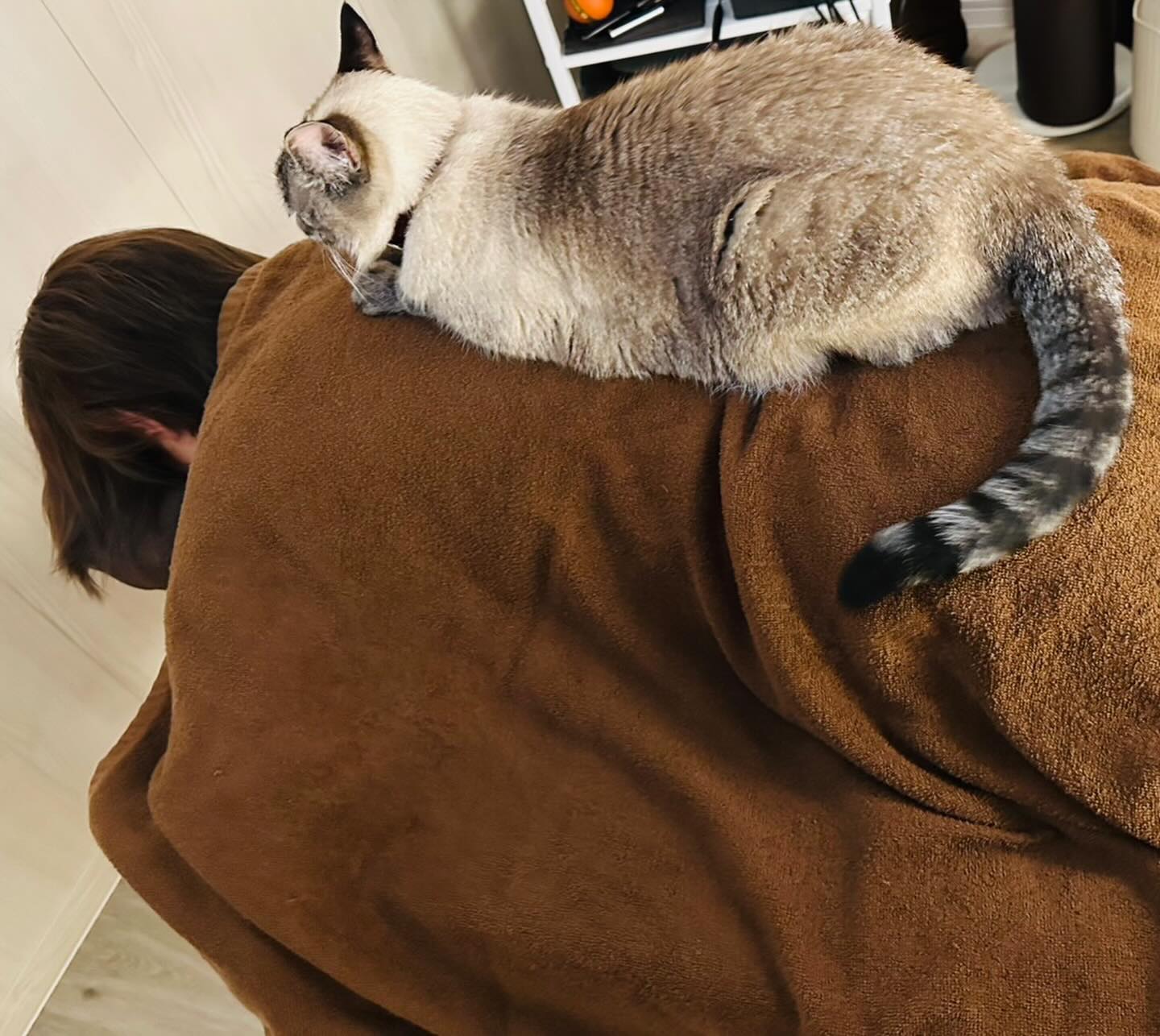 『LaCure』さんde癒されました〜🏡page-visual 『LaCure』さんde癒されました〜🏡ビジュアル