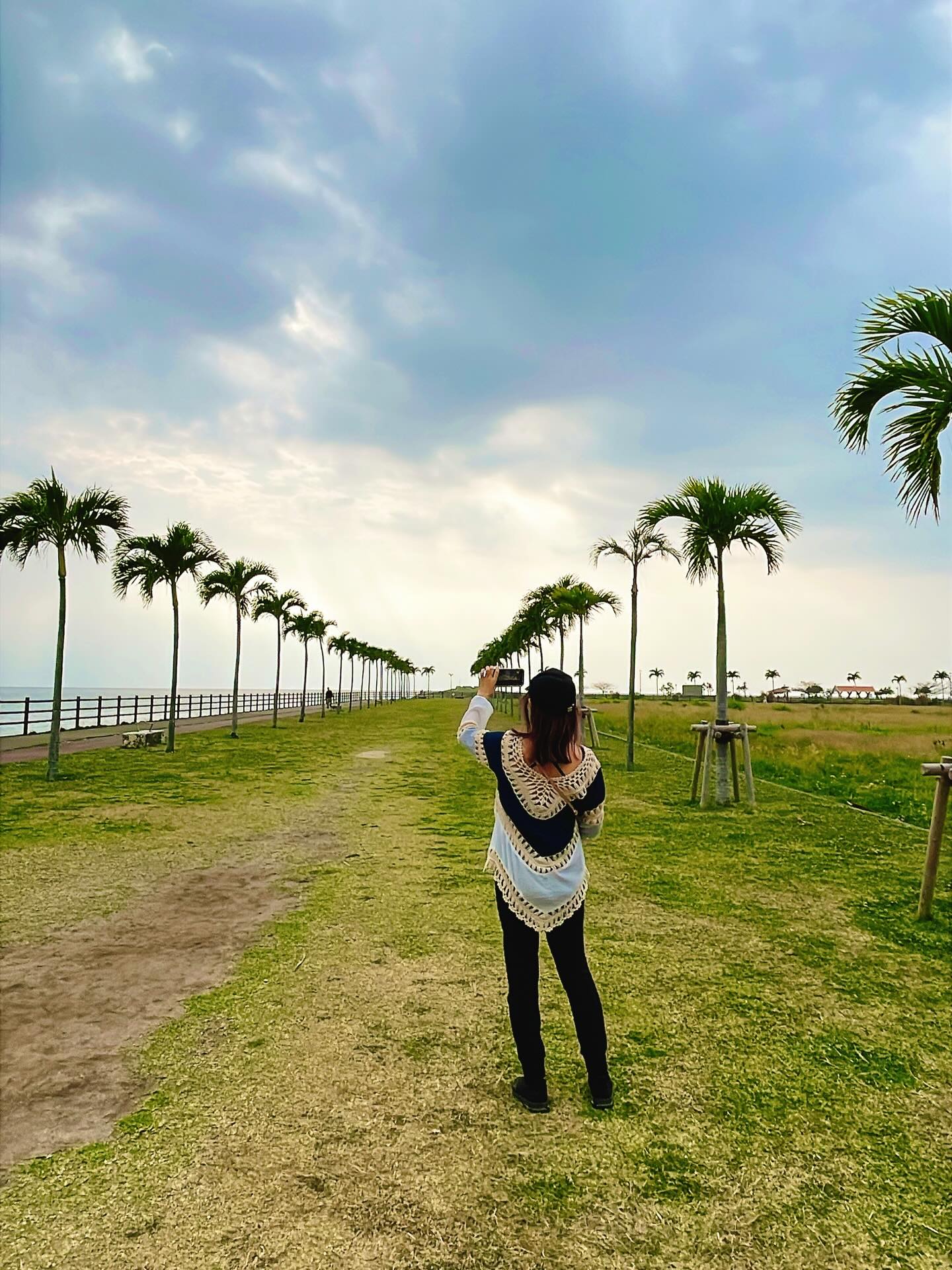 椰子の木ロード🌴🌴🌴page-visual 椰子の木ロード🌴🌴🌴ビジュアル