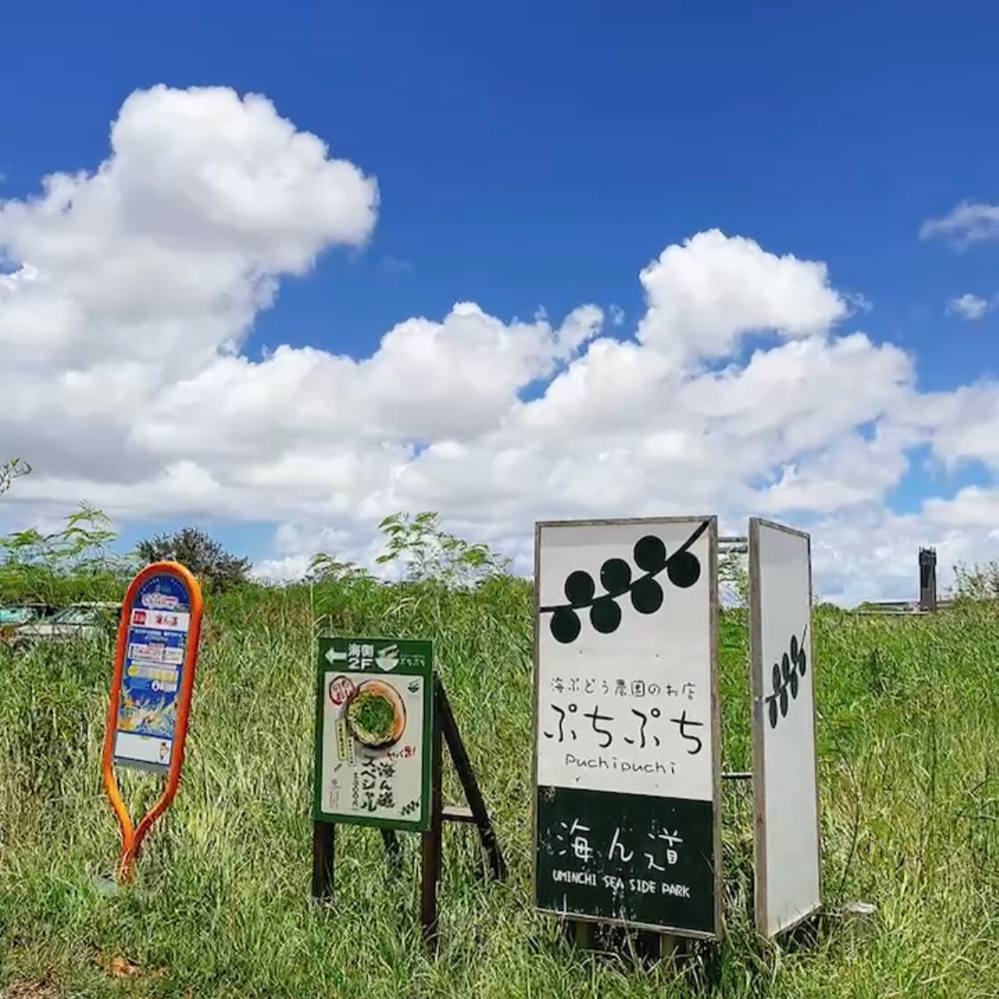 『海ん道』さんにお邪魔してきました〜🚙💨page-visual 『海ん道』さんにお邪魔してきました〜🚙💨ビジュアル