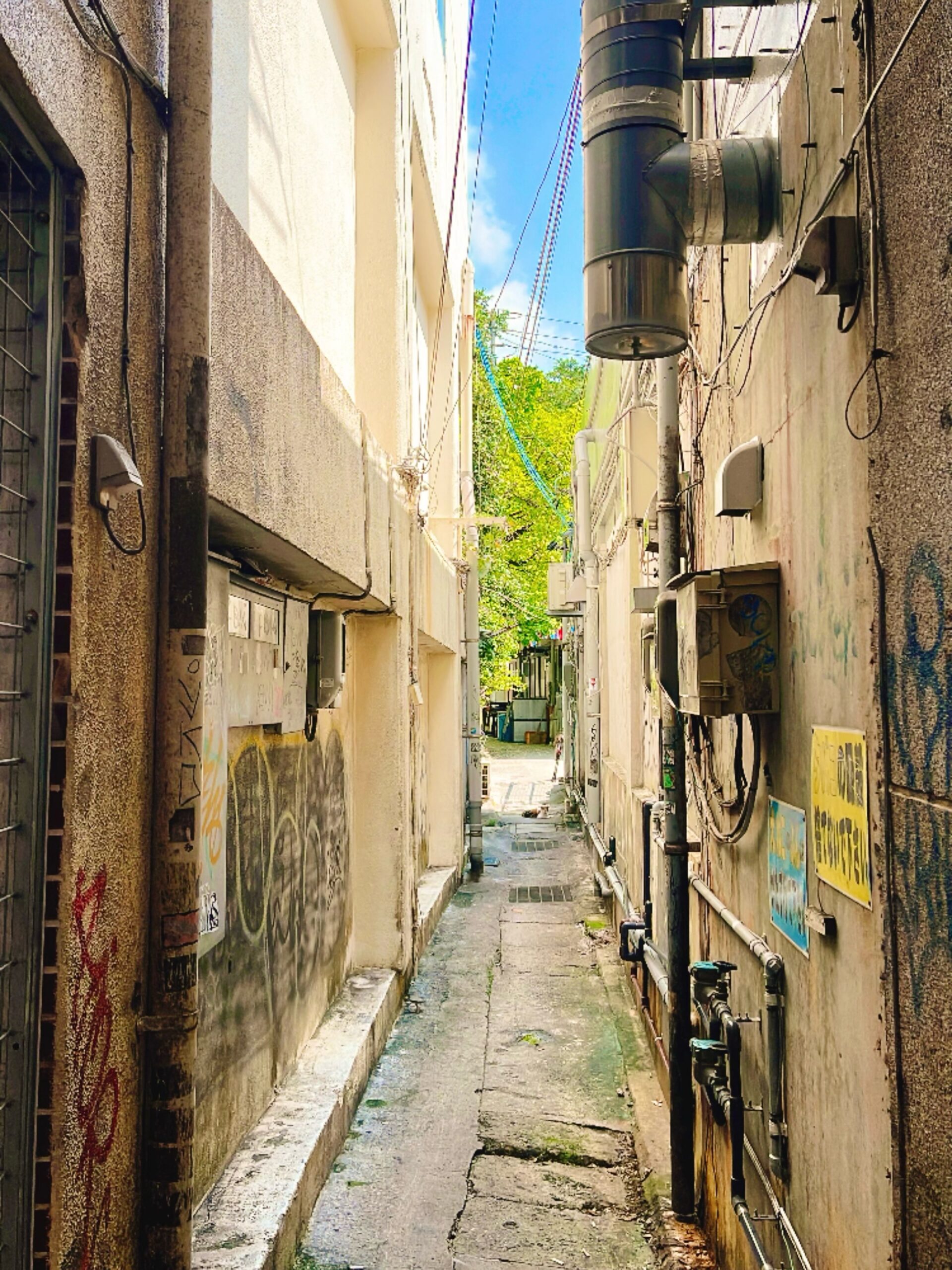 猫のいる風景🐈page-visual 猫のいる風景🐈ビジュアル